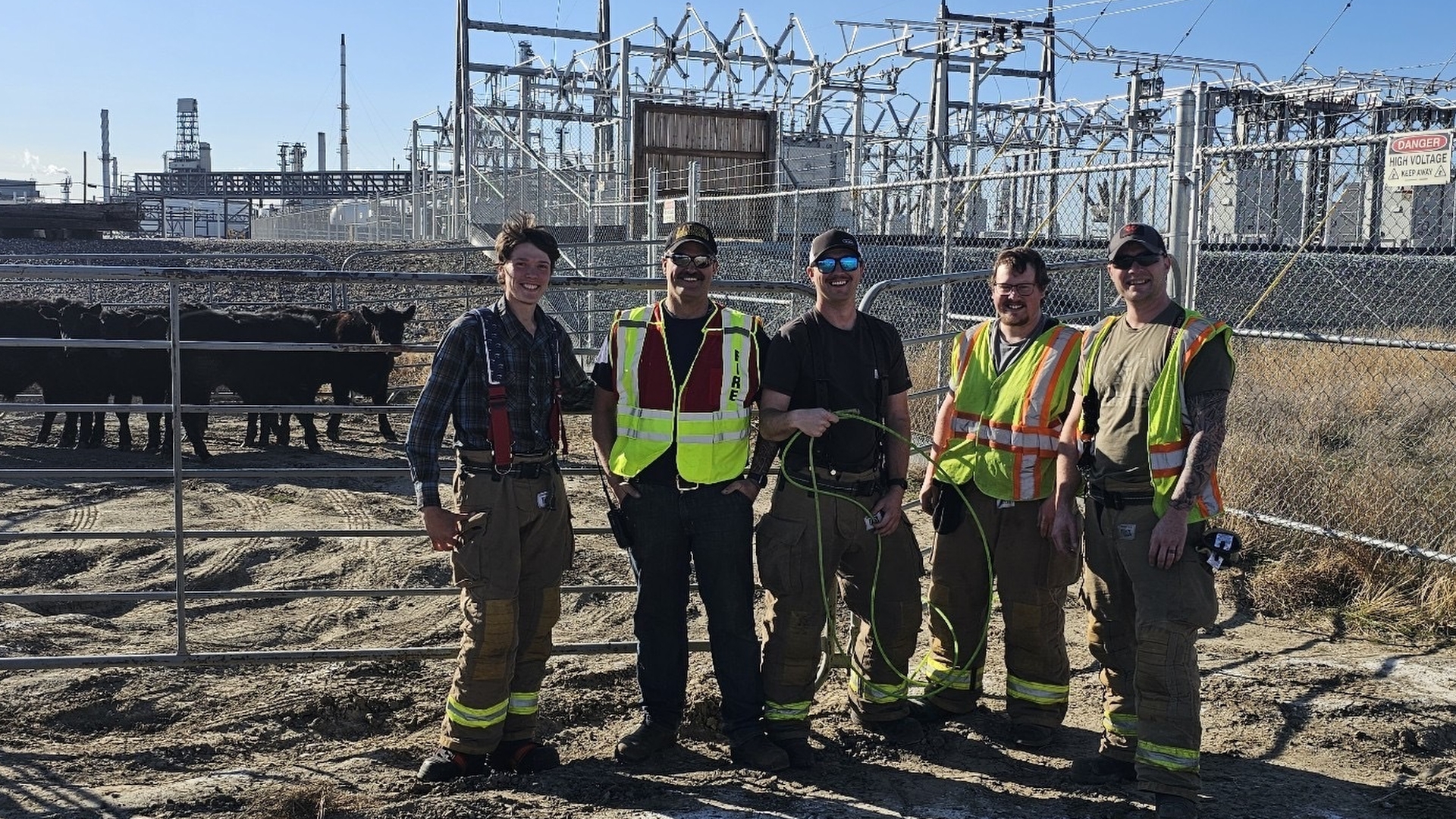 Laurel Volunteer Fire Department steer unusual rescue - Vimarsana News