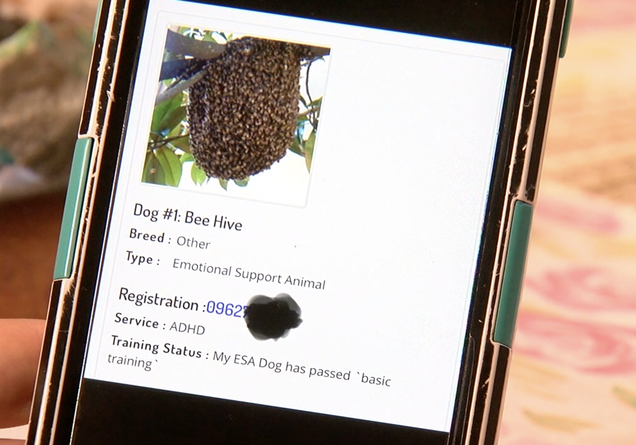 Beehive as support animal