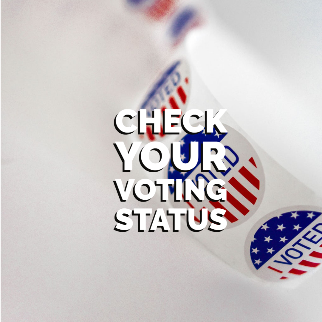 Check Your Voting Status