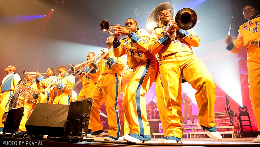 DRUMline Live