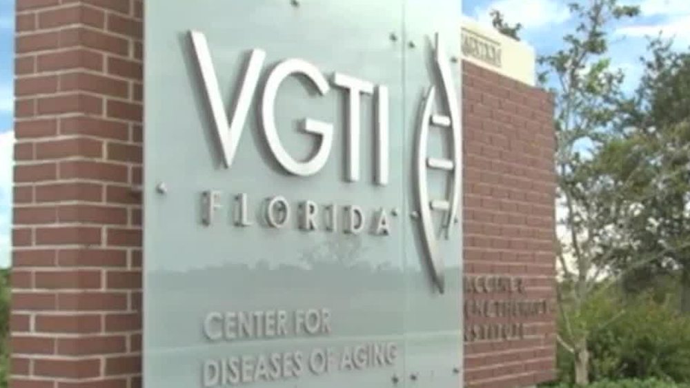 wptv-vgti.jpg