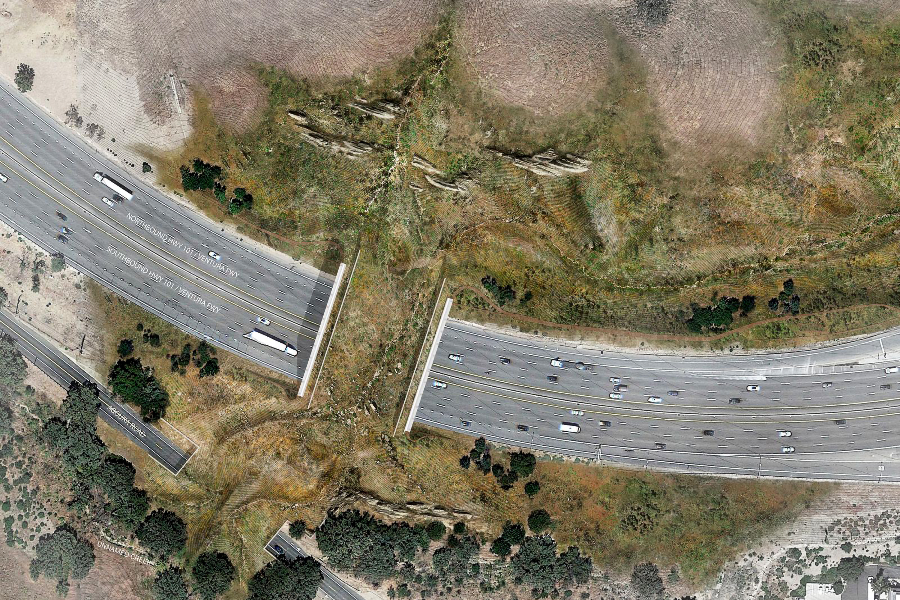 Wildlife Crossing Southern California