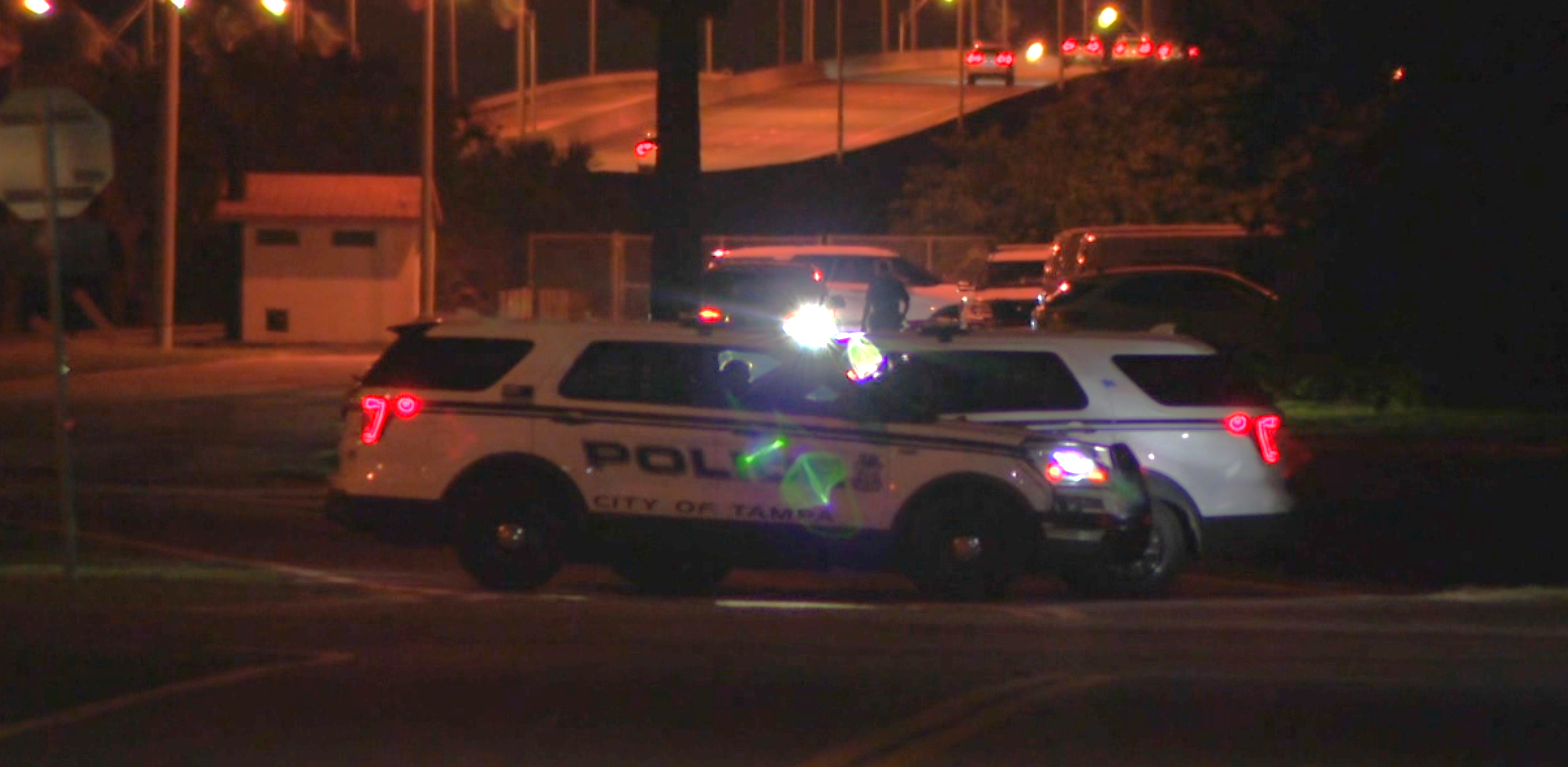 Tampa Police investigate body found in mangroves