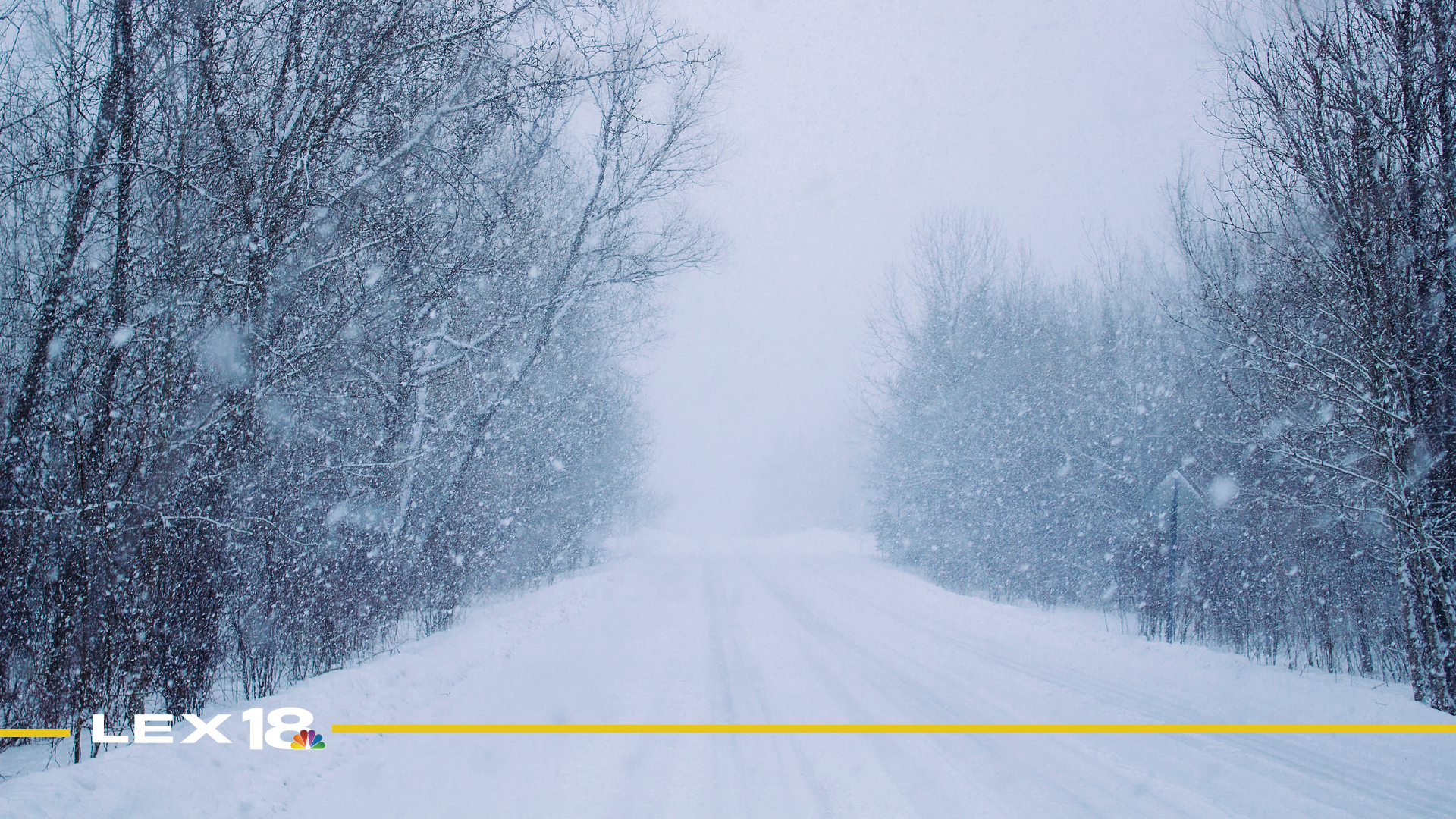 Featured Image Custom Edit (6).png