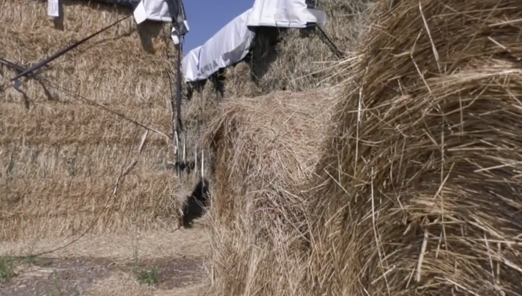 Screen Shot 2022-05-12 at 4.24.15 PM.png