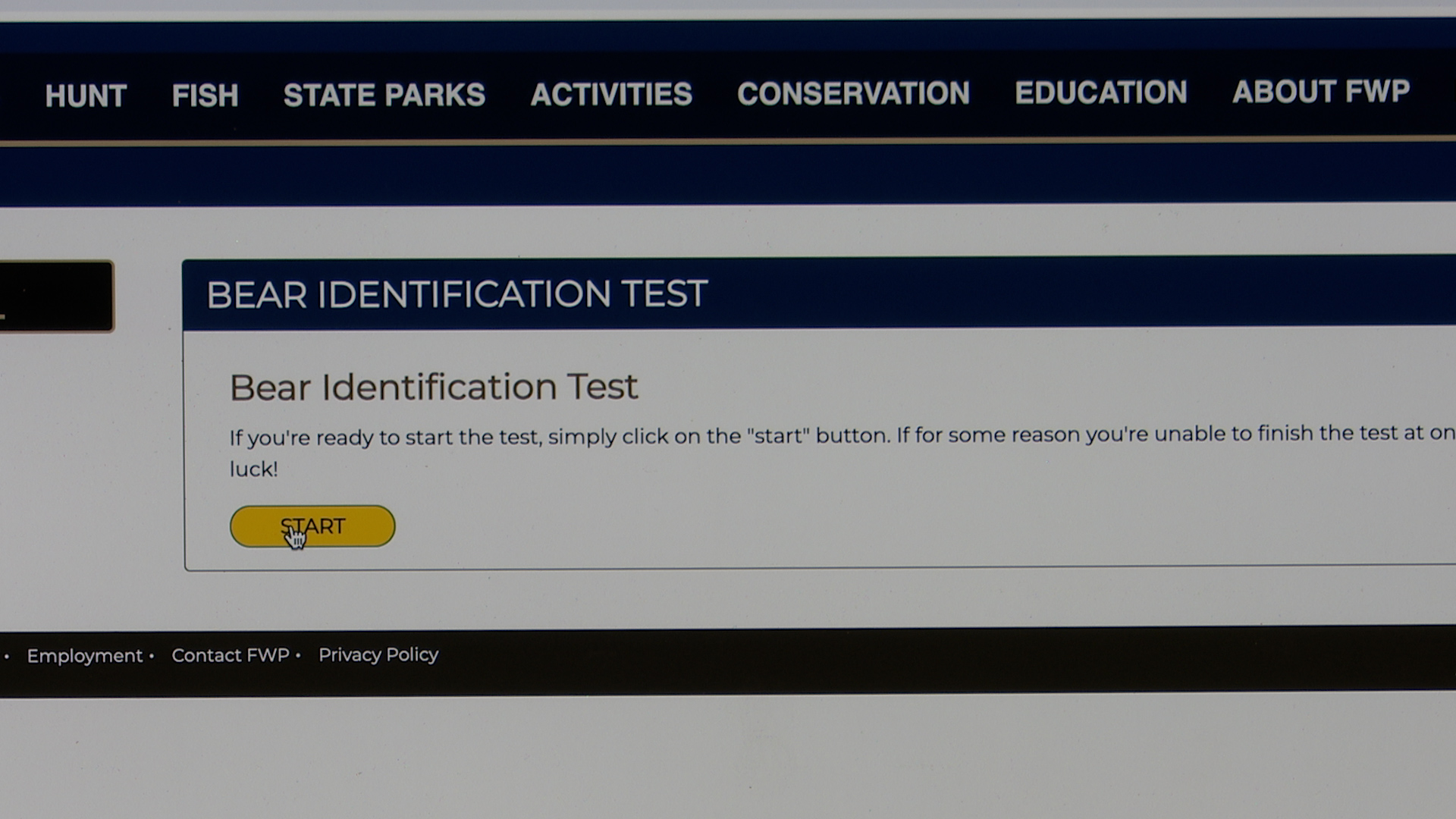 Start of Bear ID Test