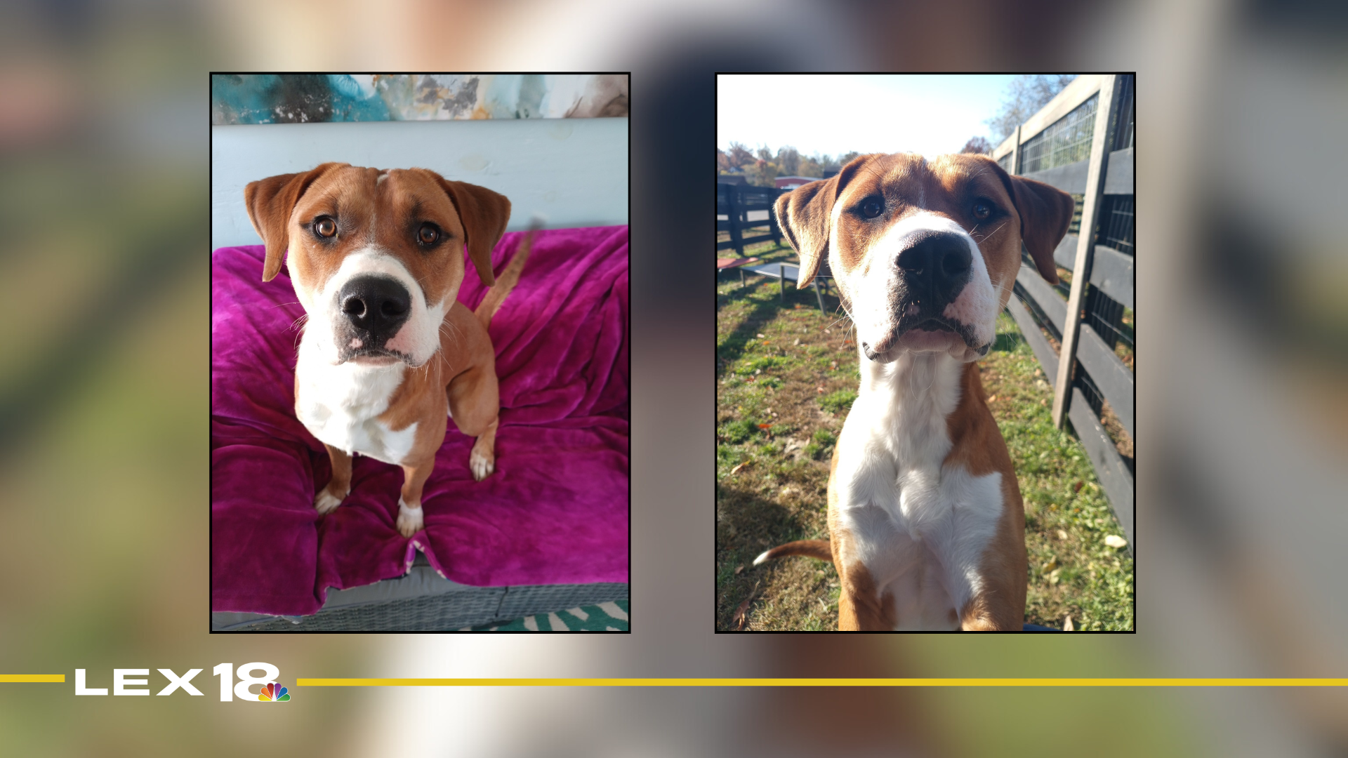 Featured Image Custom Edit (7).png