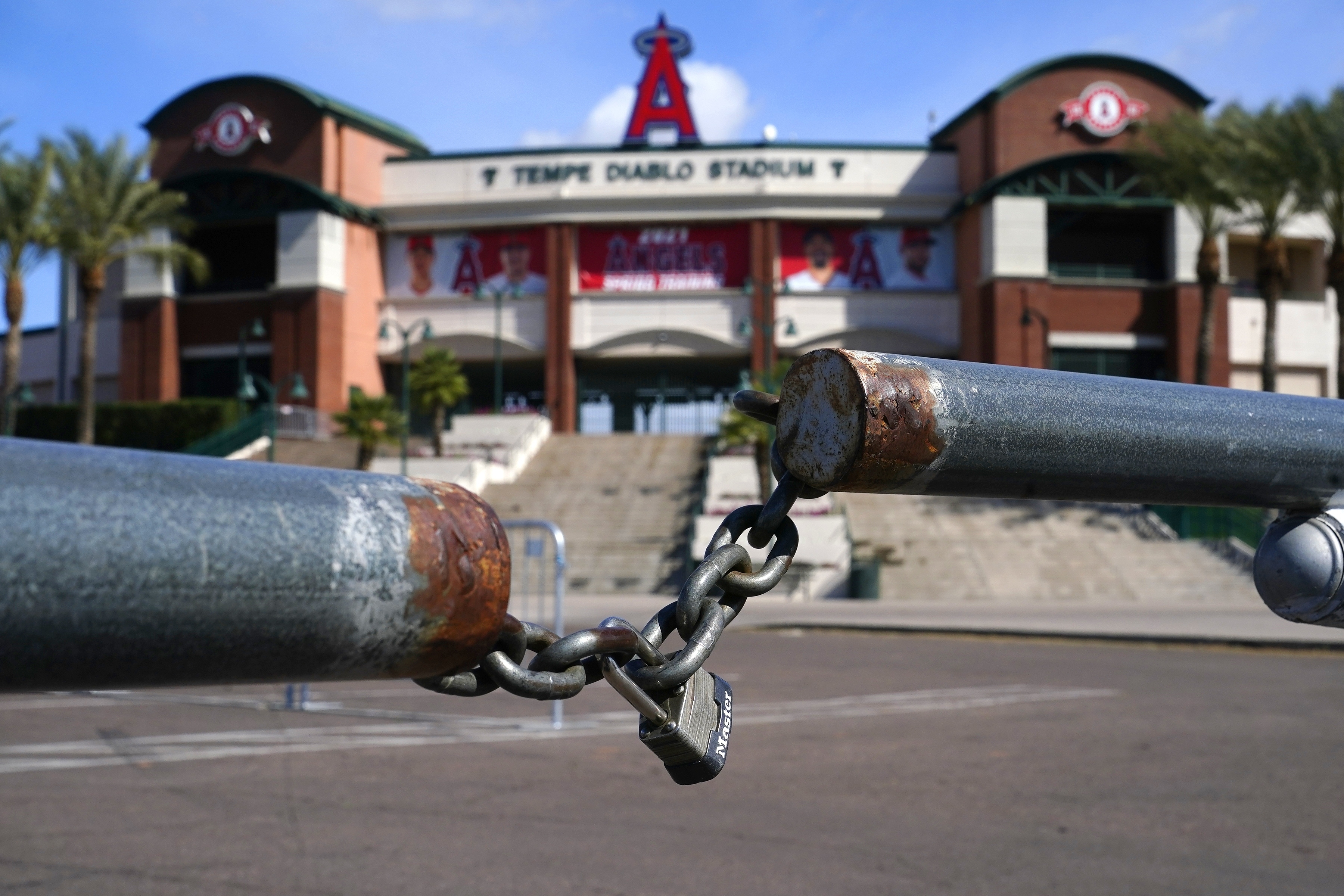 MLB Spring Baseball