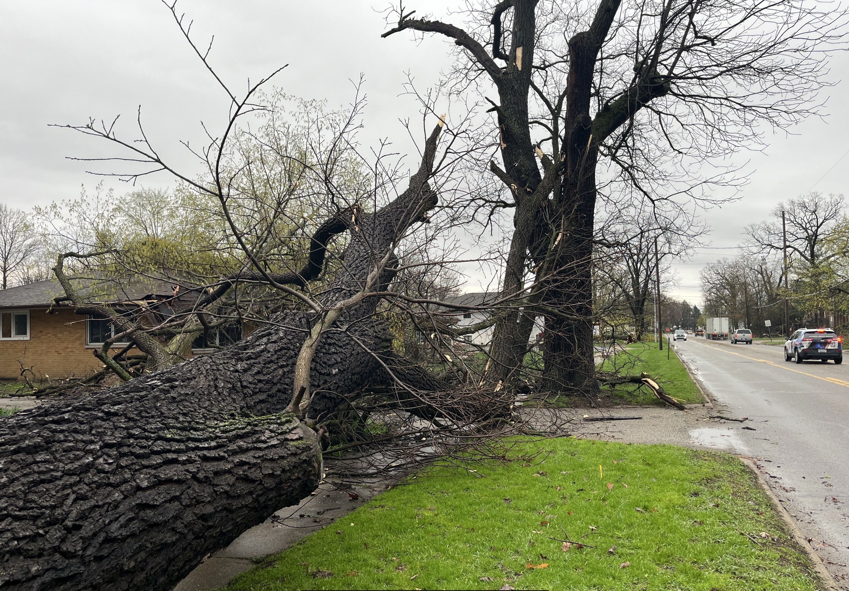 Storm damage in Otsego 