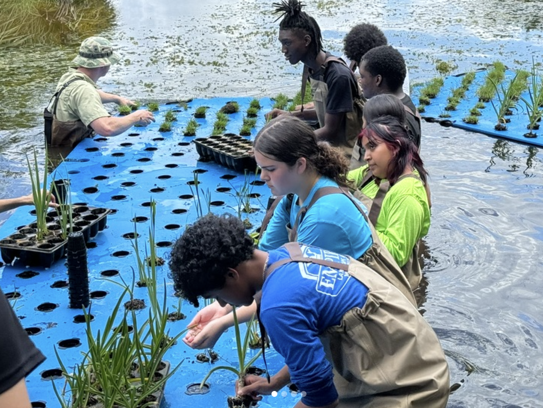 SouthTech Academy floating wetland project.png