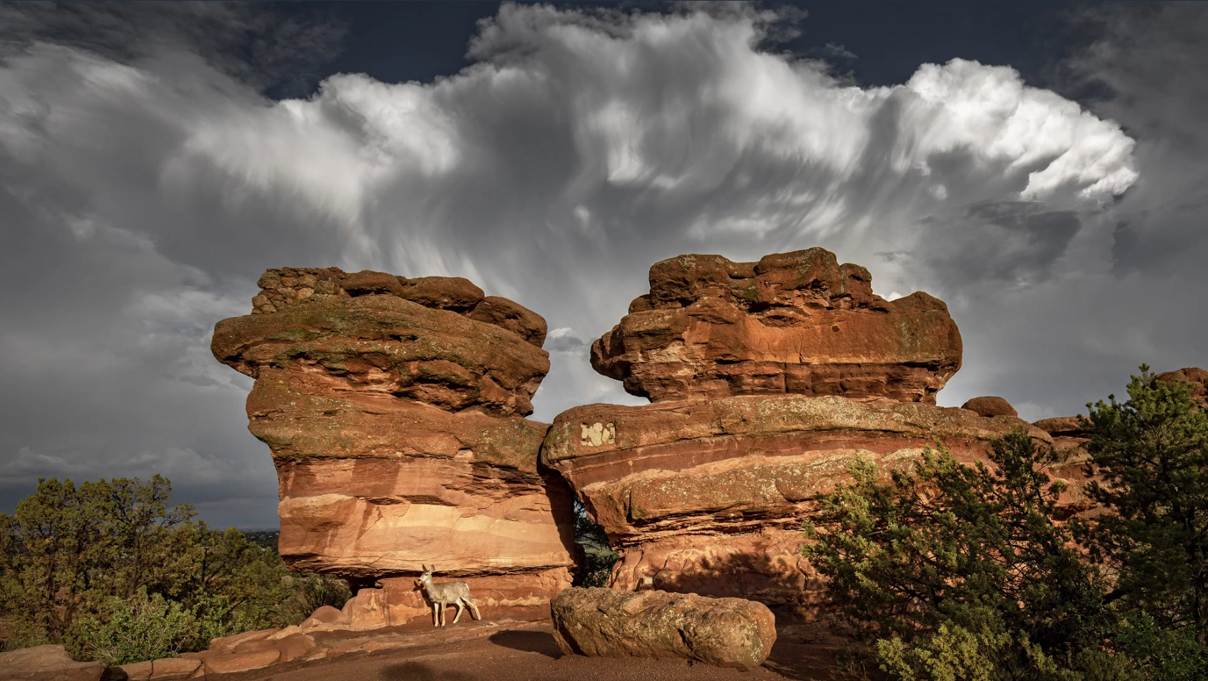 garden of the gods storm peter schwepker