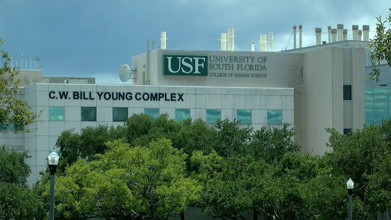 USF new laws