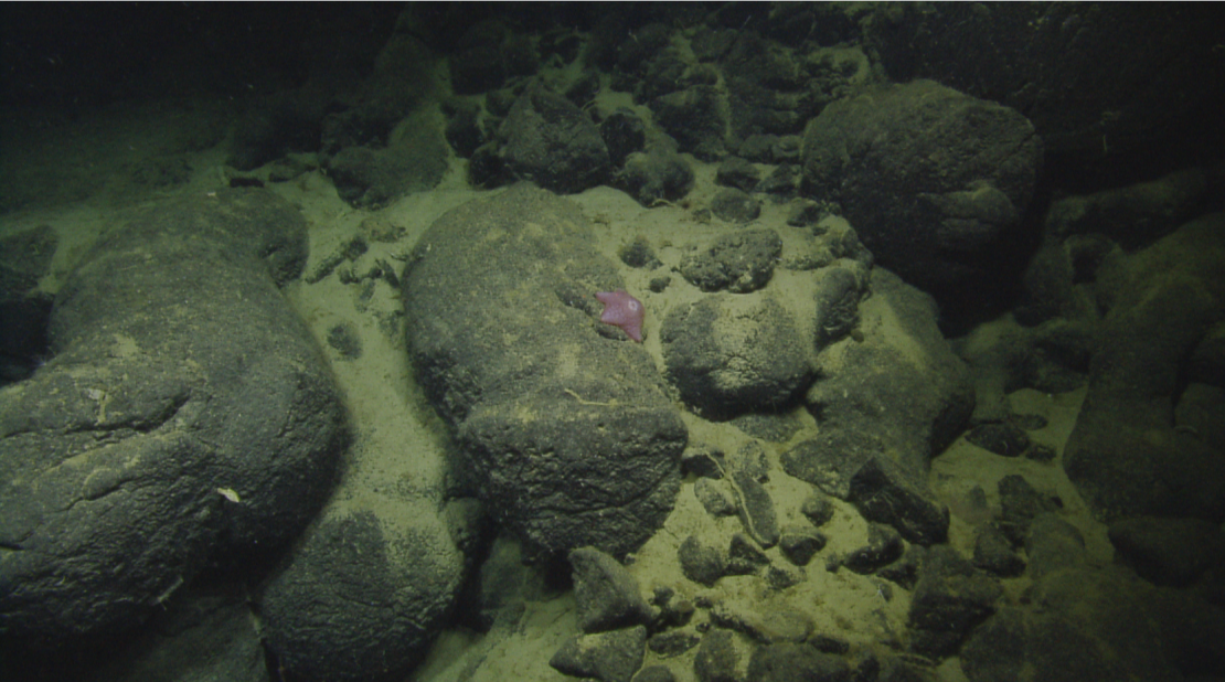 Ocean Depth Study.png