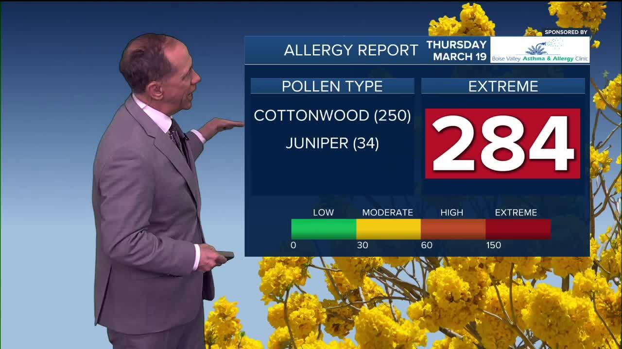 Allergy Report.jpg