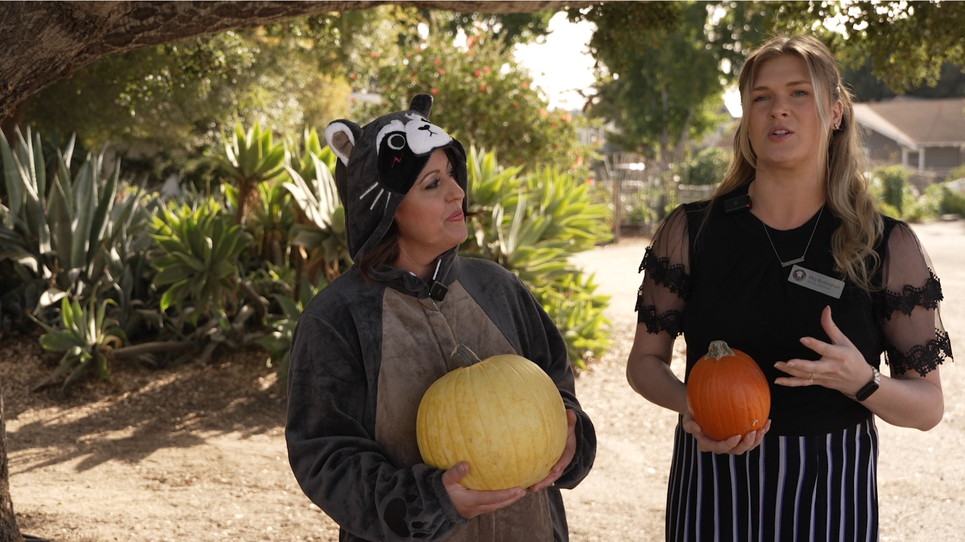 SLO PUMPKIN SMASH PREVIEW CUT SOT.00_00_05_05.Still001.png