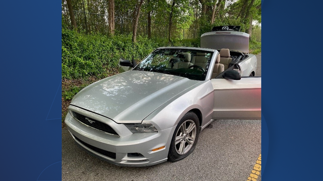 Stolen Mustang on Blue Background