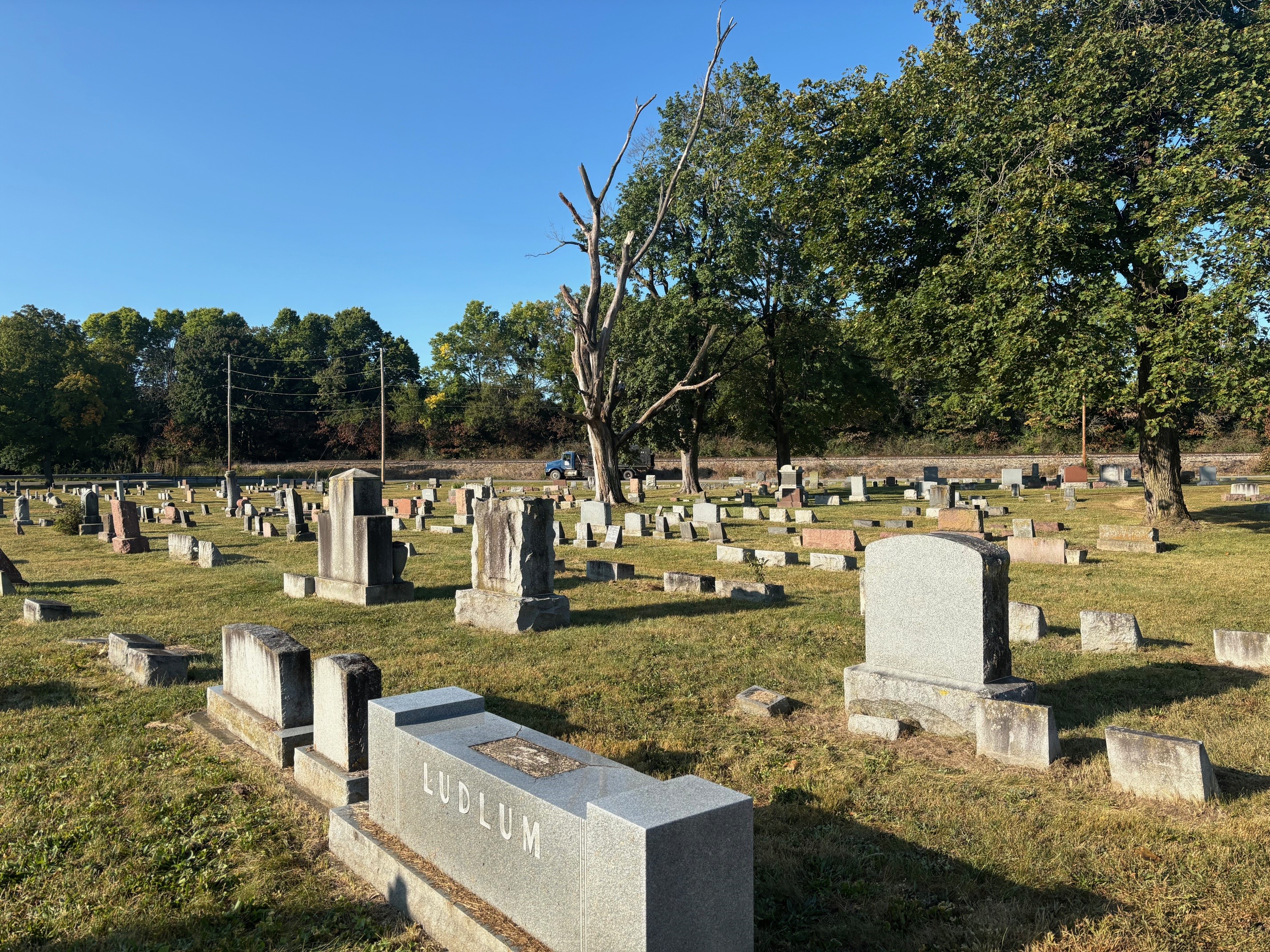 CemeteryDeadTree.jpg