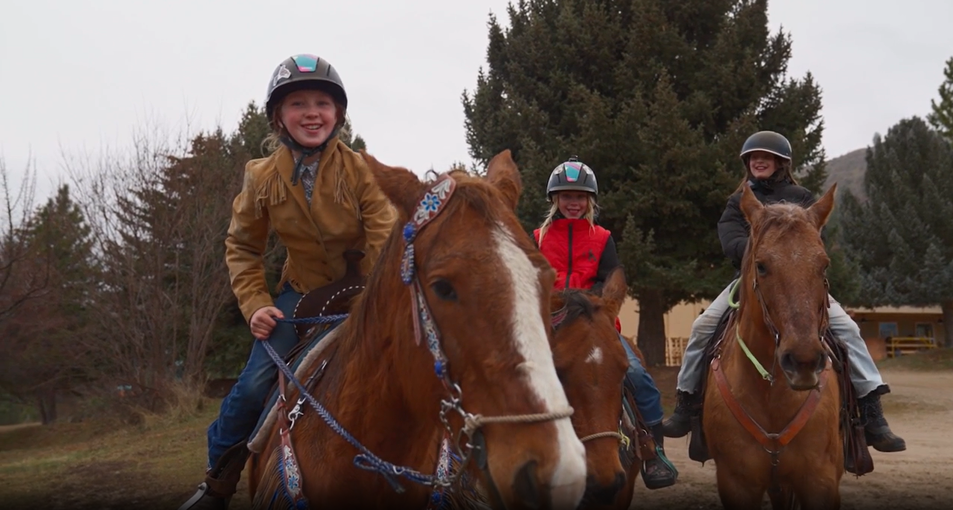 Screenshot 2026-02-25 113633.png