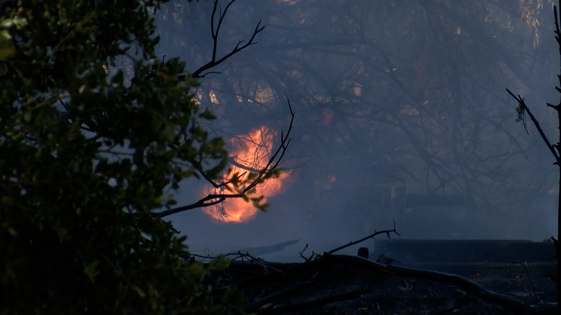 FIRE.jpg
