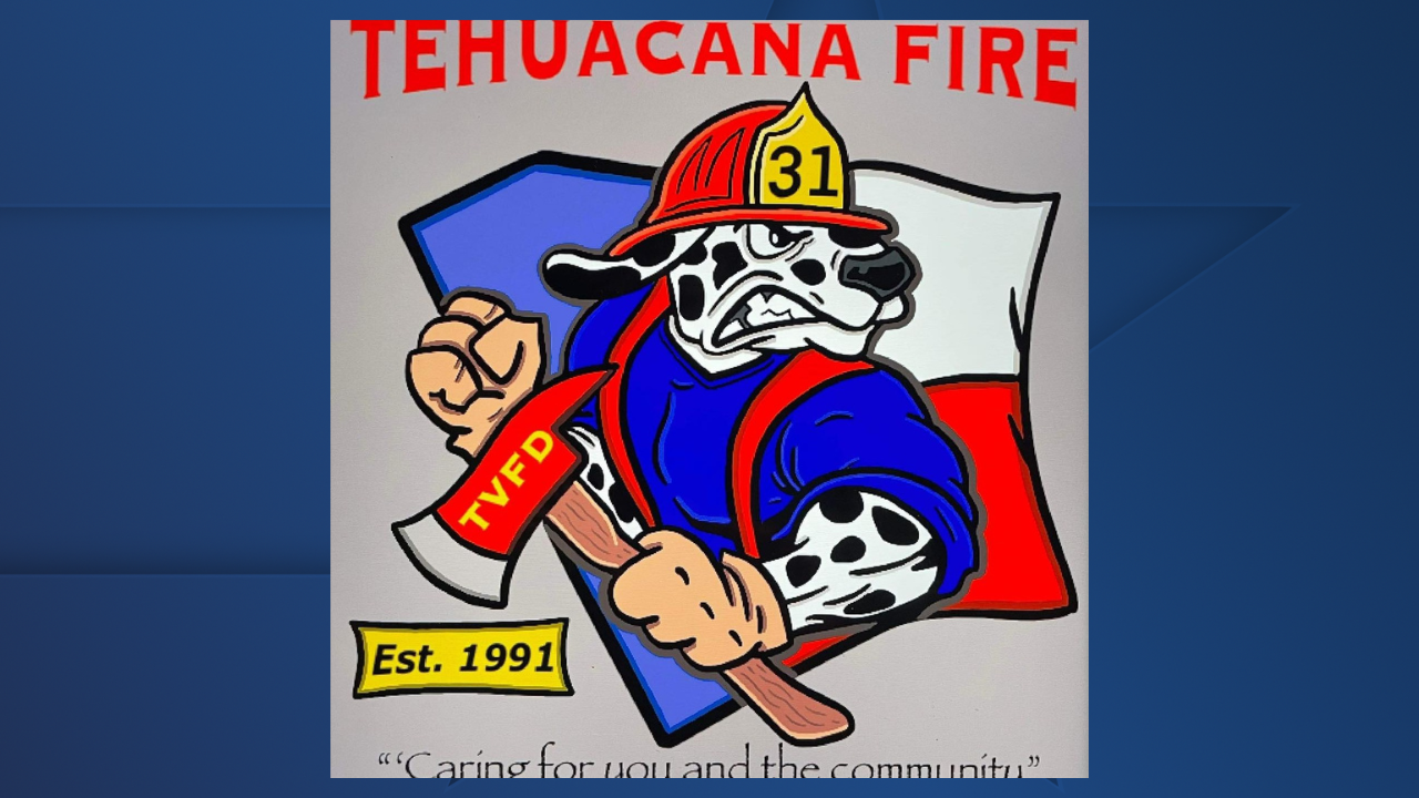 TEHUACANA VFD GFX.png
