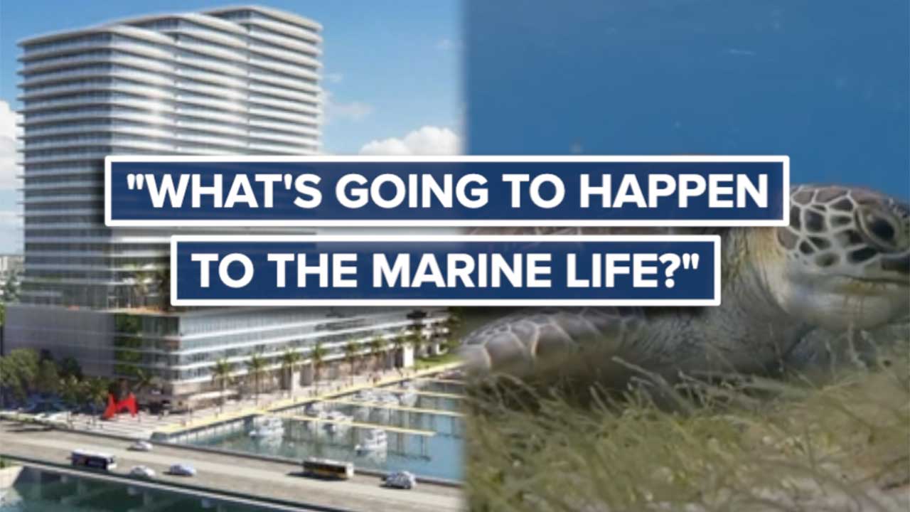 A proposed development near Phil Foster Park in Riviera Beach is drawing fierce opposition from divers, marine scientists and thousands of others who say what gets built above the water could permanently change what lies beneath it.