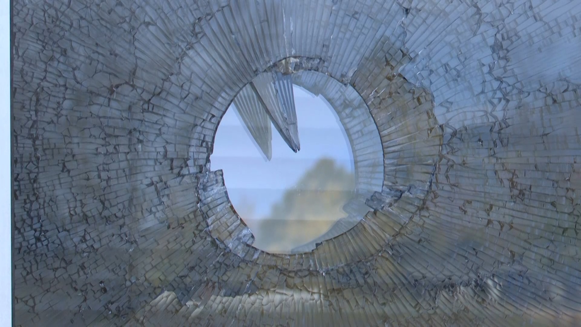 vadals 1_1.1.1.jpg