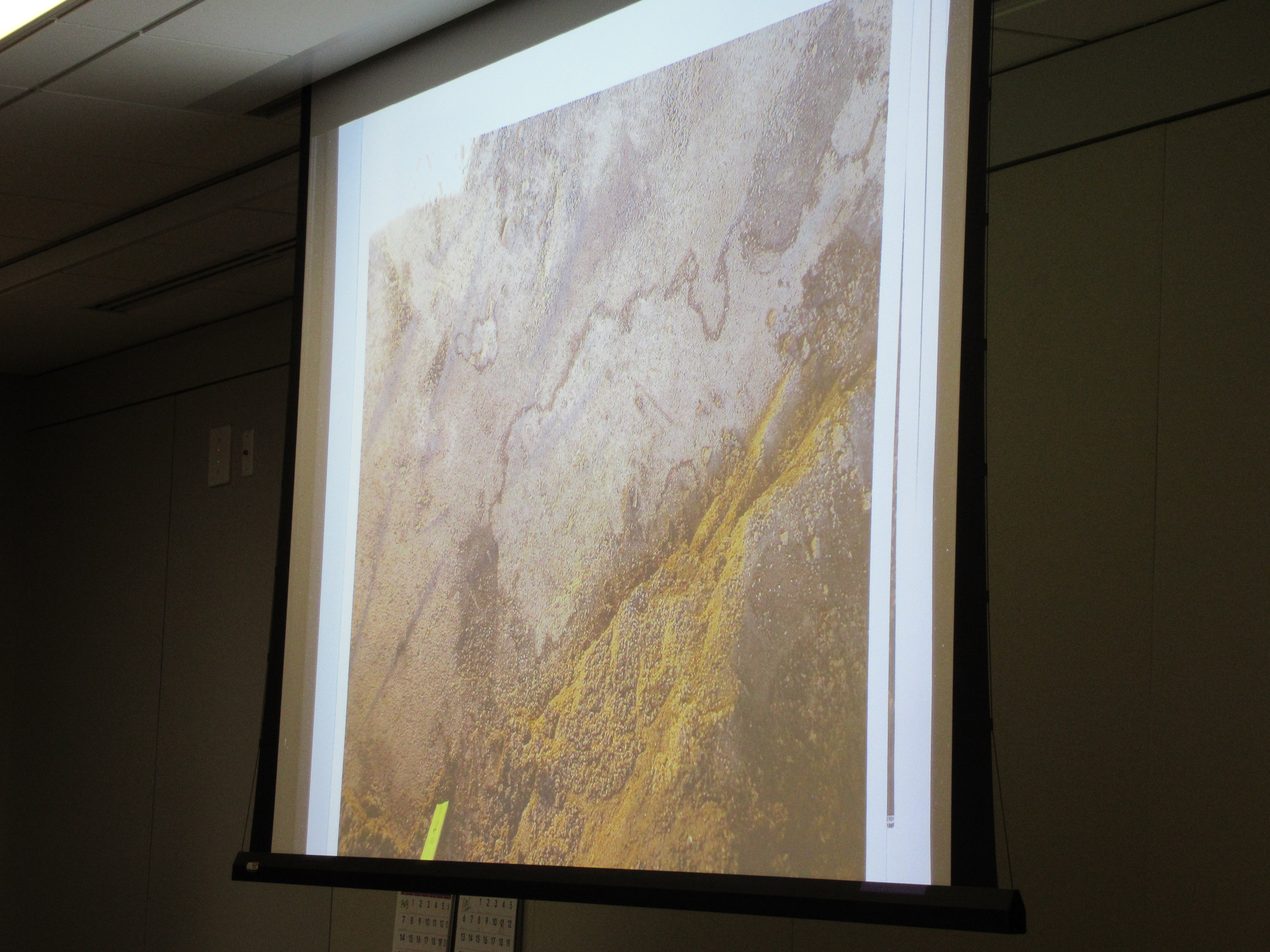 Soil 9-7.JPG