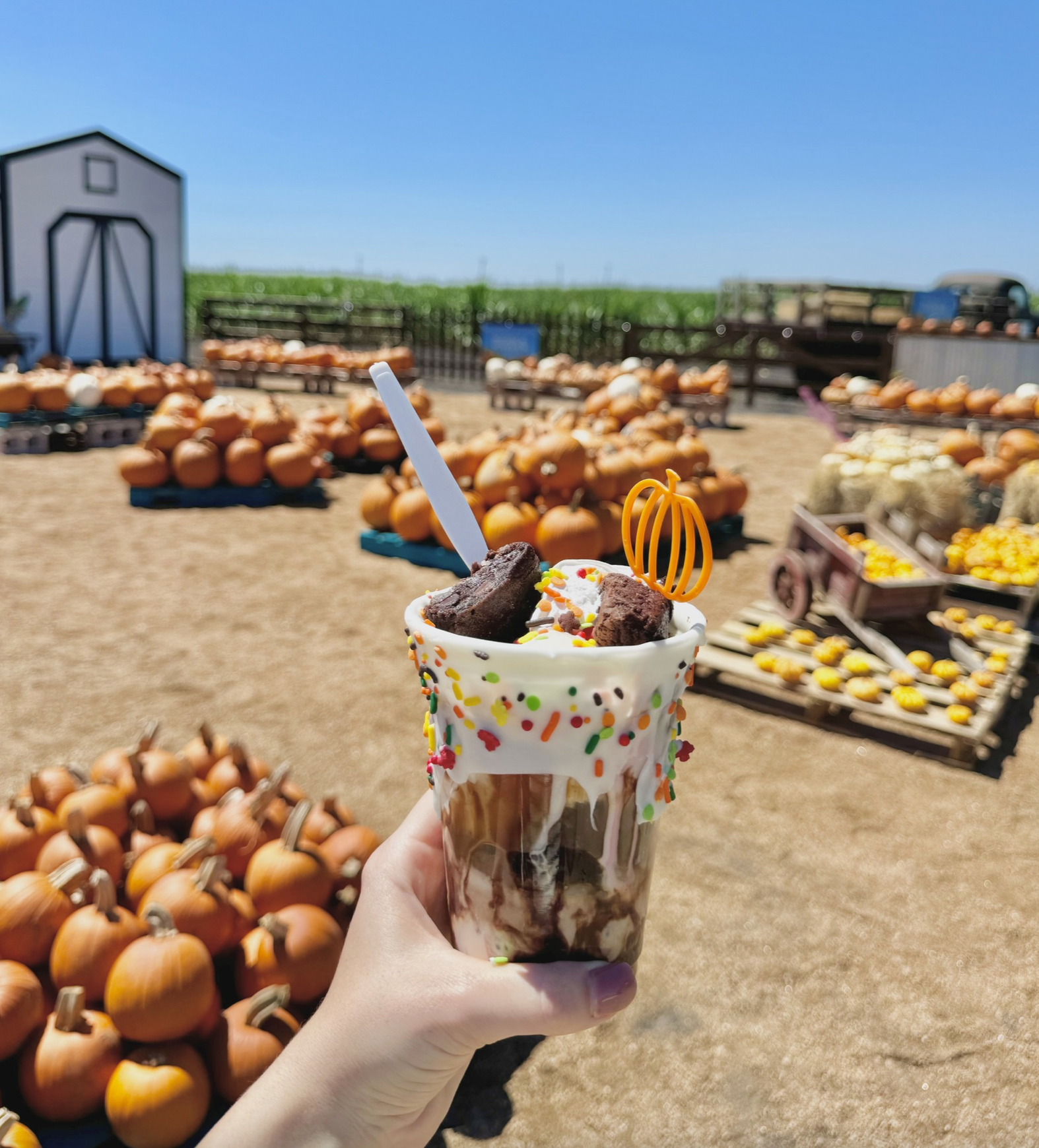 Screen Shot 2025-10-02 at 11.30.42 AM.png