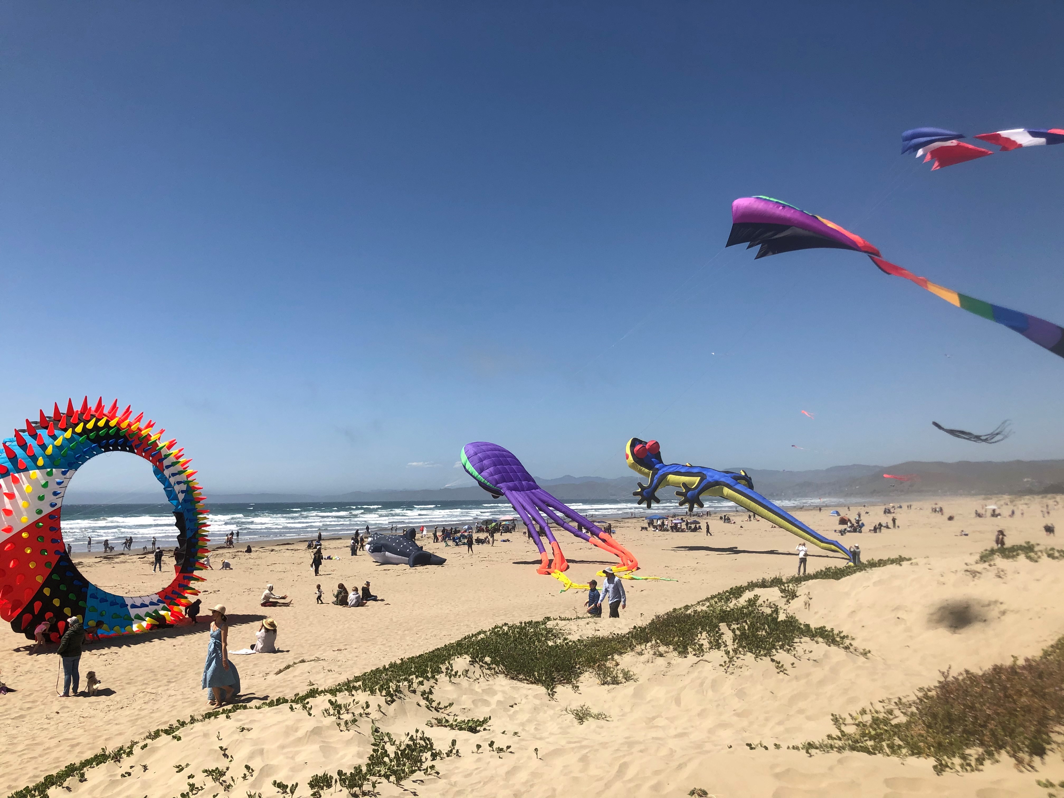 morrobaykitefestival2022.jpg