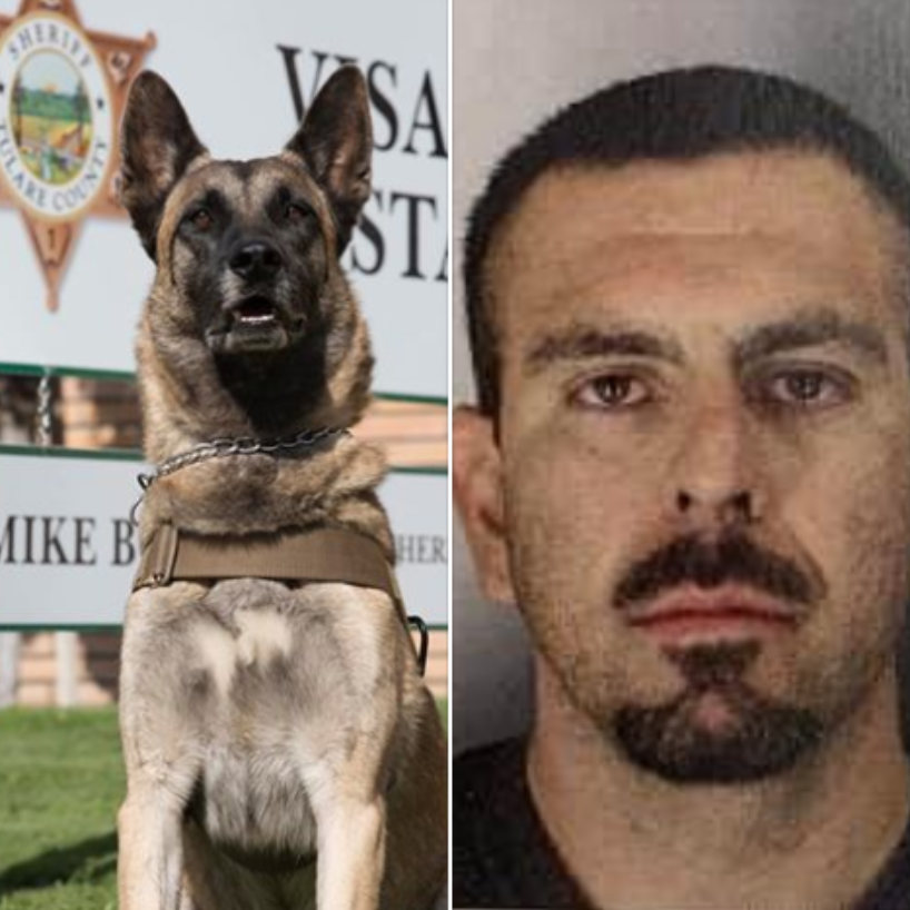 Tulare County Sheriff's Office