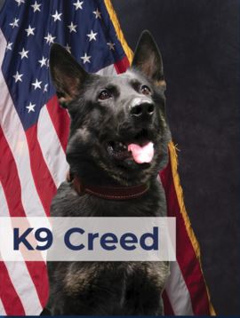 K9 Creed