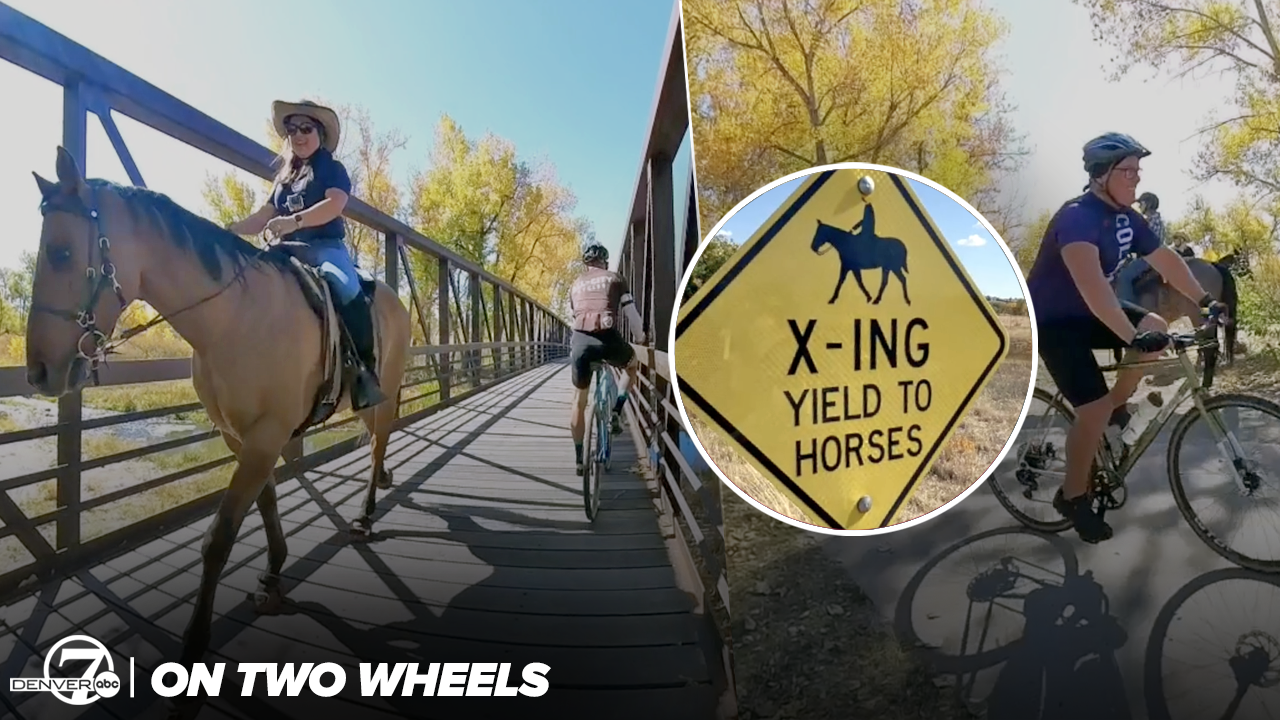 HORSE ON TWO WHEELS.png