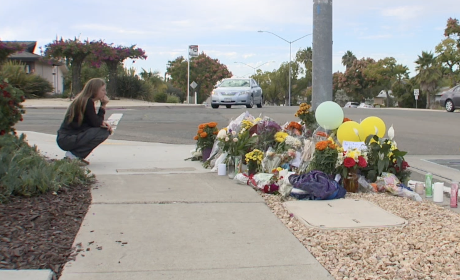 San Diego is not progressing on promise for zero traffic deaths 