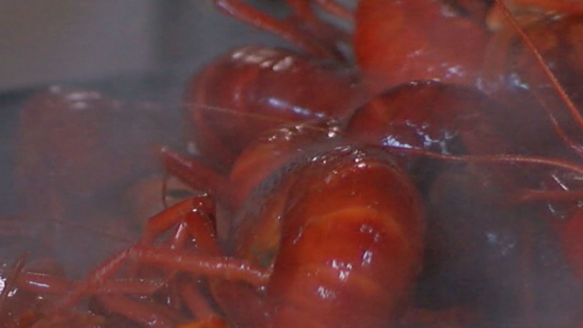 crawfish.jpg