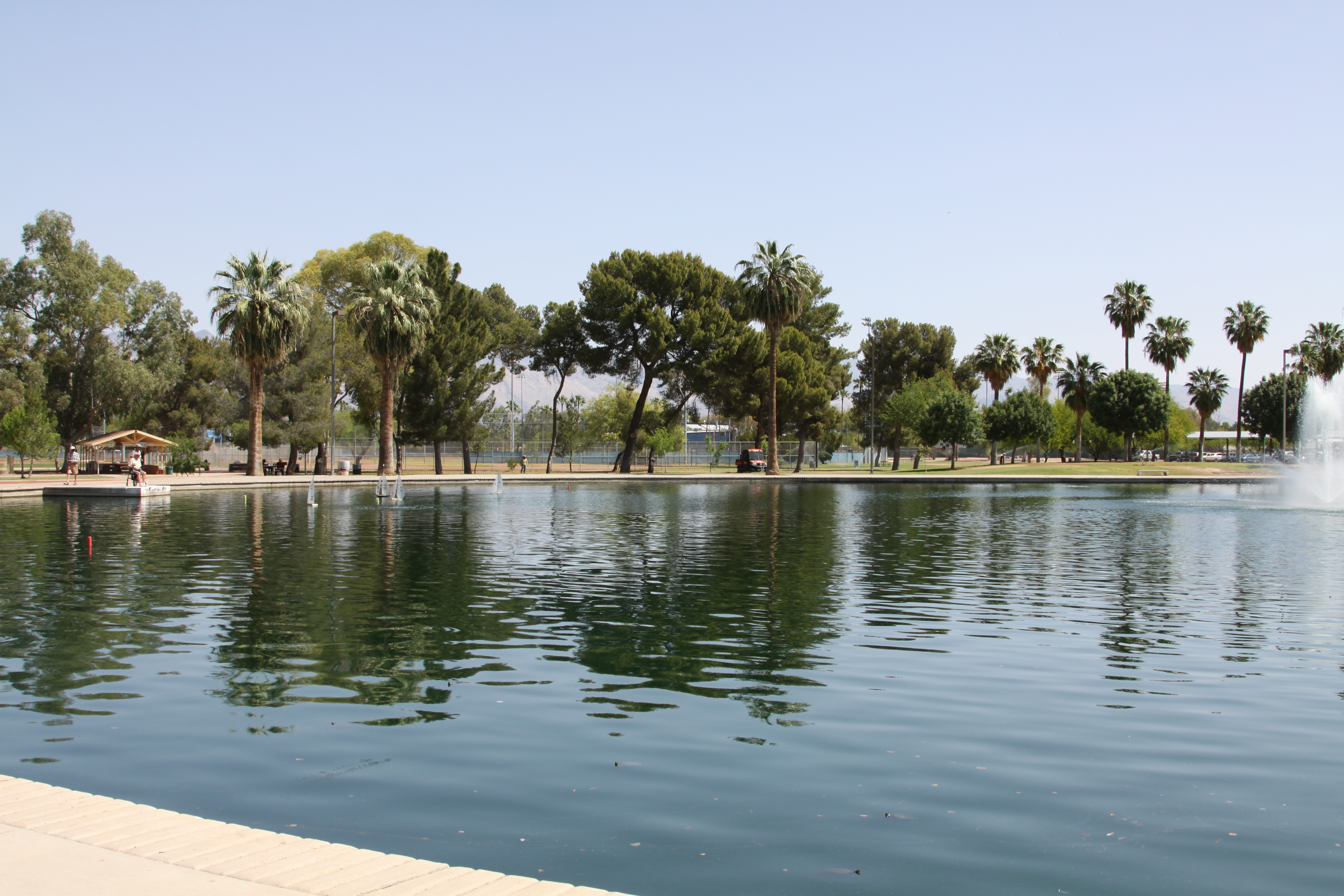 REID PARK DUCK POND