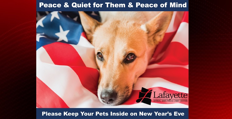 NEW YEARS PUP.jpg