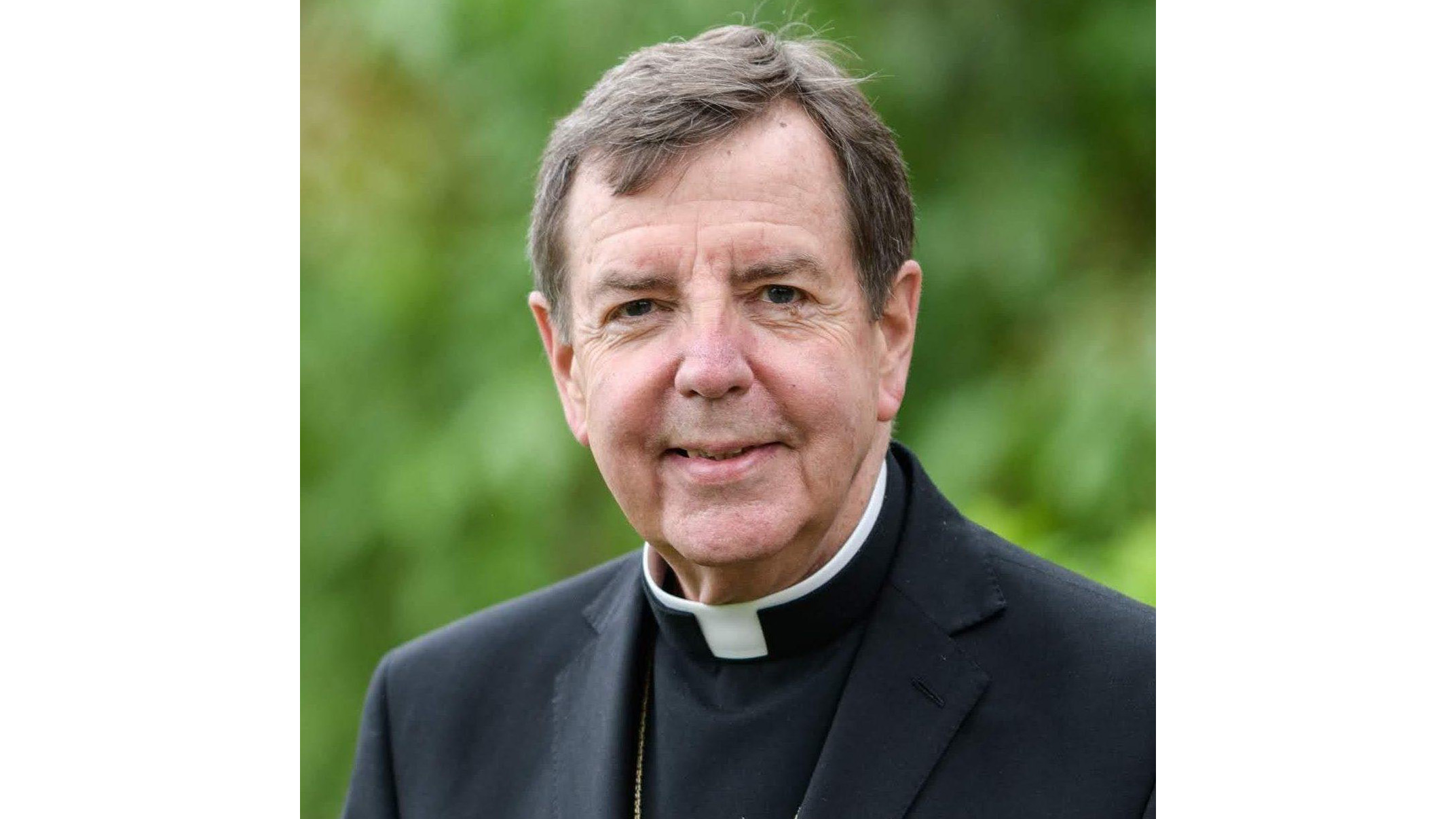 Archbishop Allen Vigneron.jpg