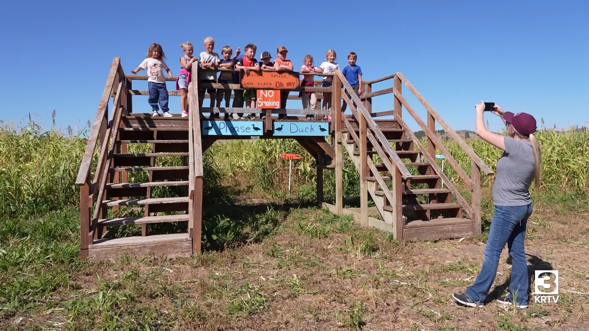 Applestem Corn Maze & Pumpkin Patch