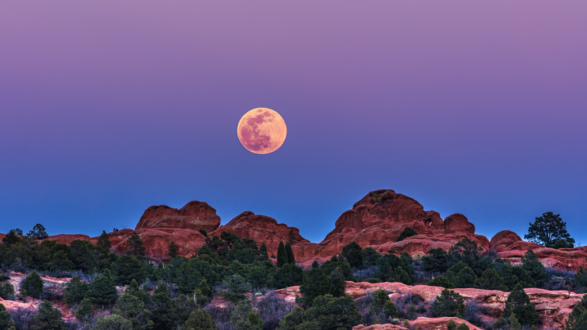 Daniel Forster Super Moon 2.jpg