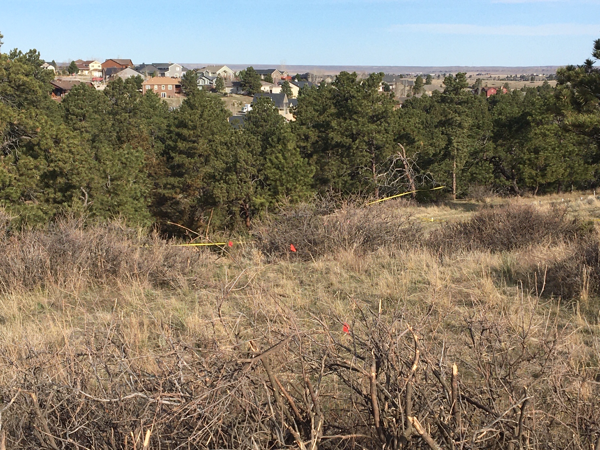 NTSB releases report on Billings fatal plane crash