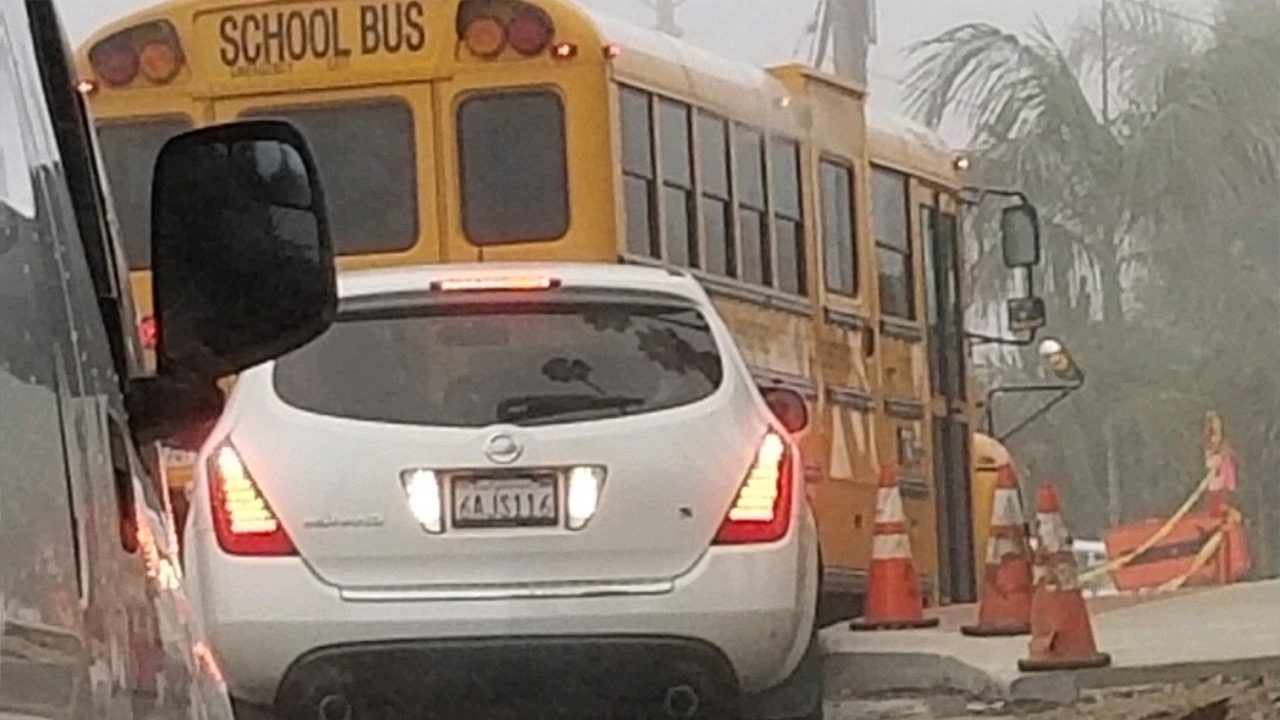 bus2.jpg