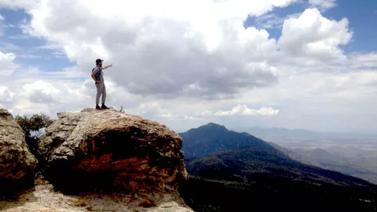 Saguaro National Park.jpg