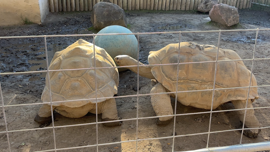 charles paddock zoo.png