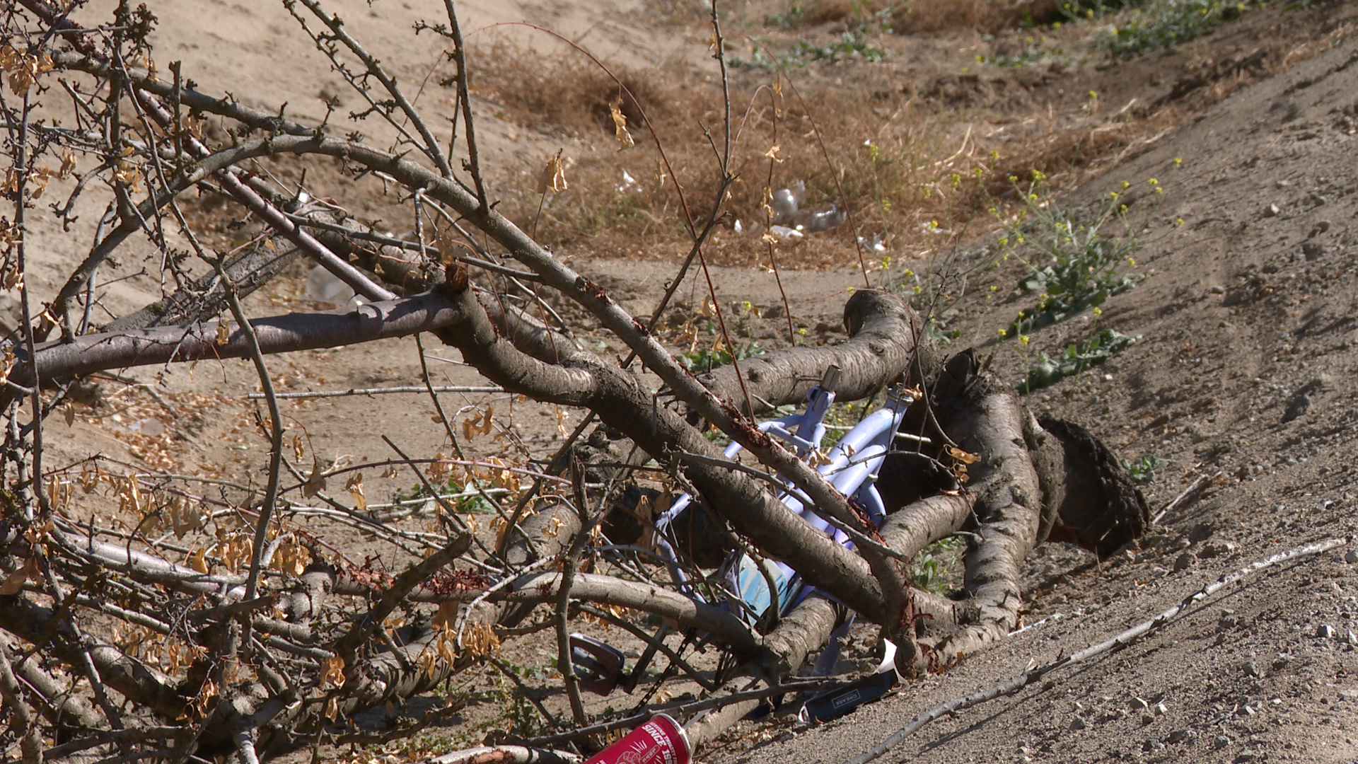 Shafter Street Trash: Let's get it picked up