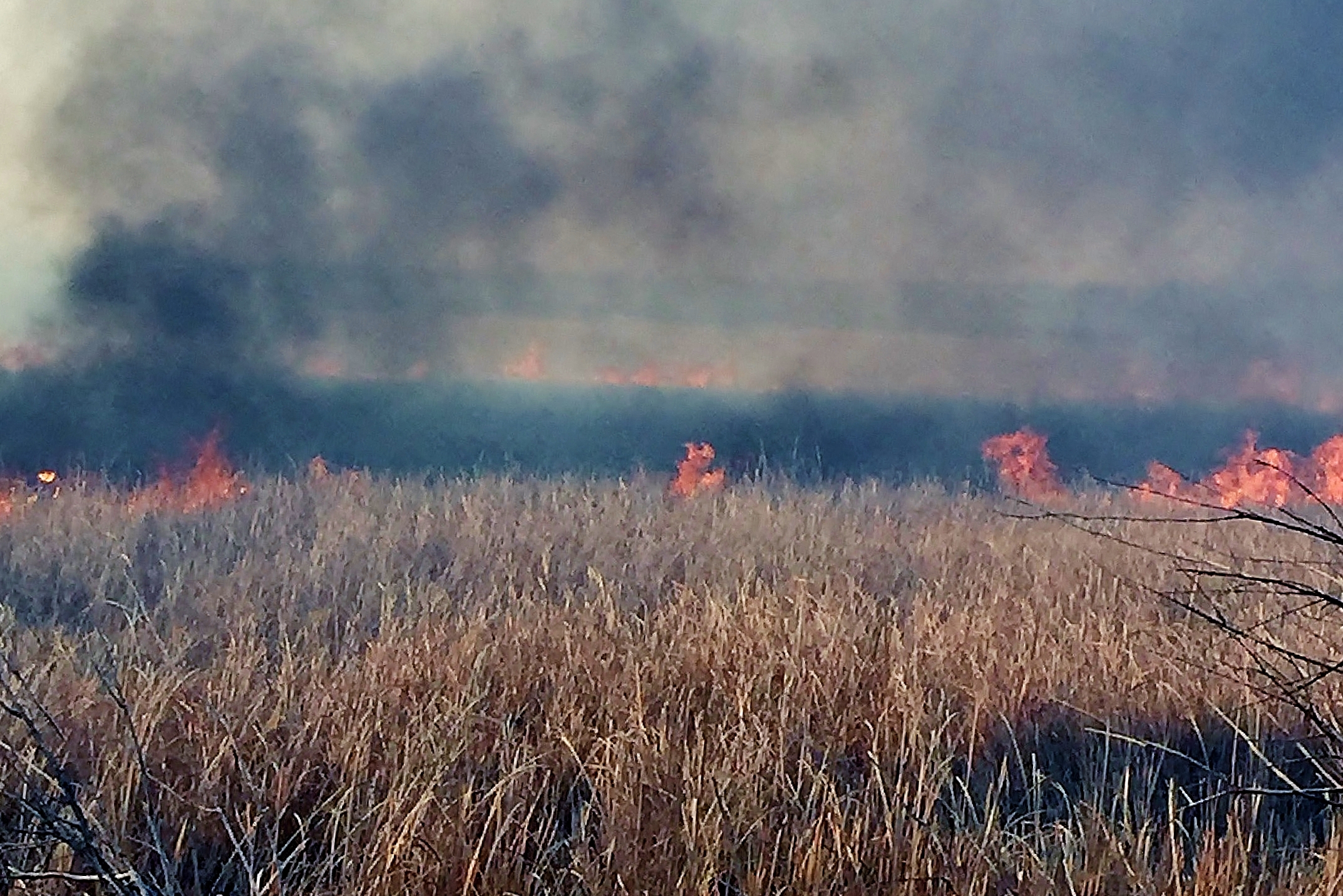 March 30 2021 fire in John Martin Reservoir State Wildlife Area