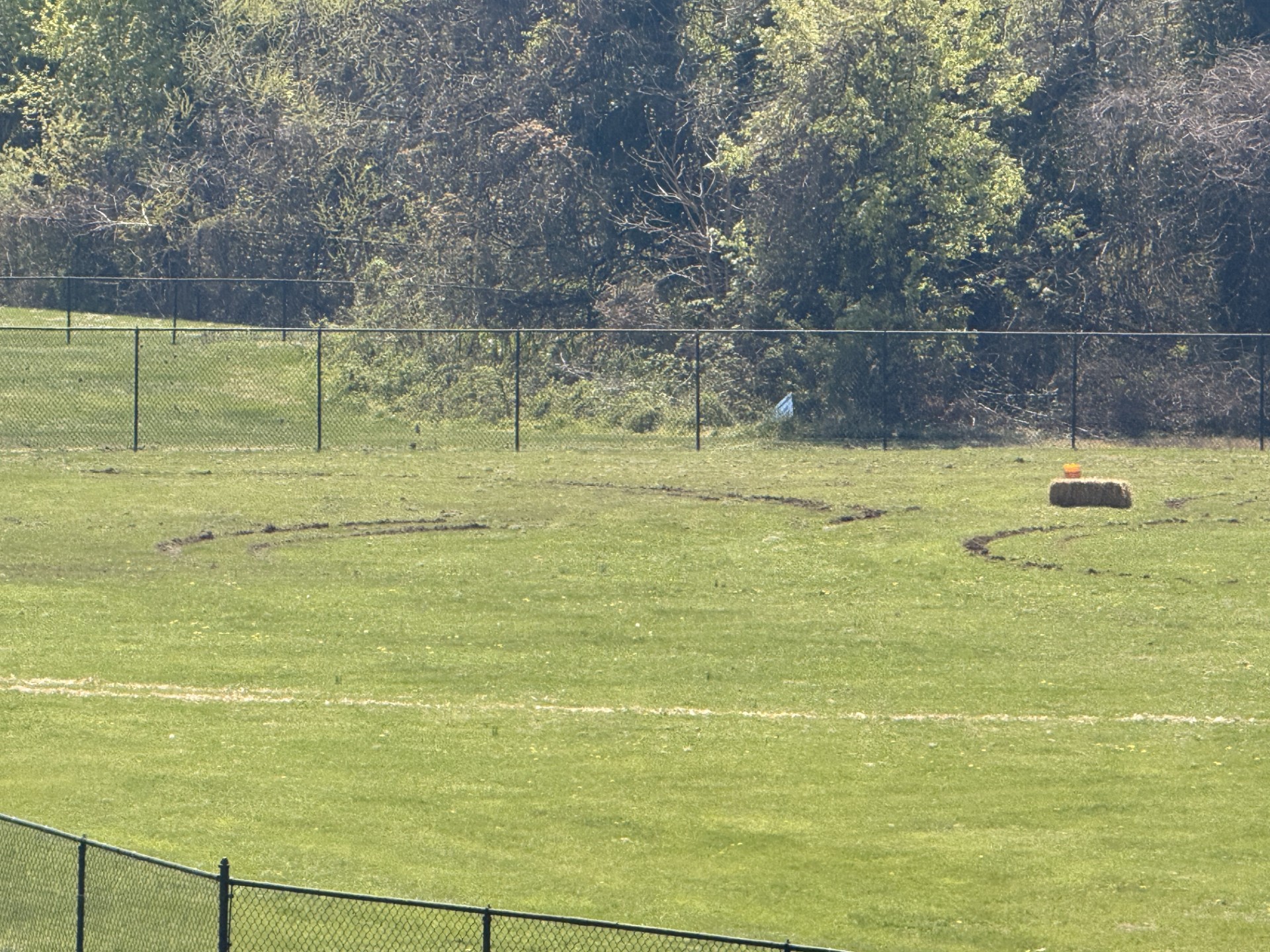 Anne Arundel County vandalism 