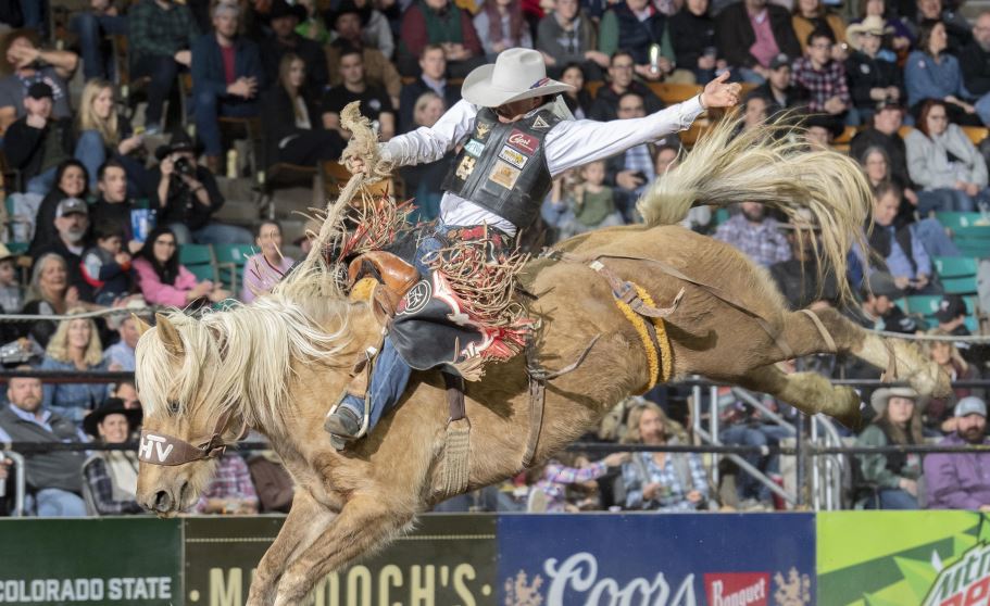 Saddle Bronc Lefty.JPG