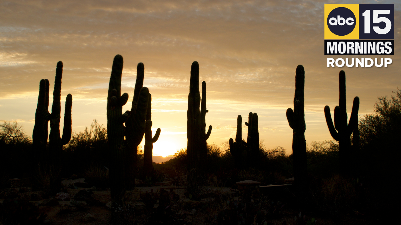 new AM roundup 12-16-25 3