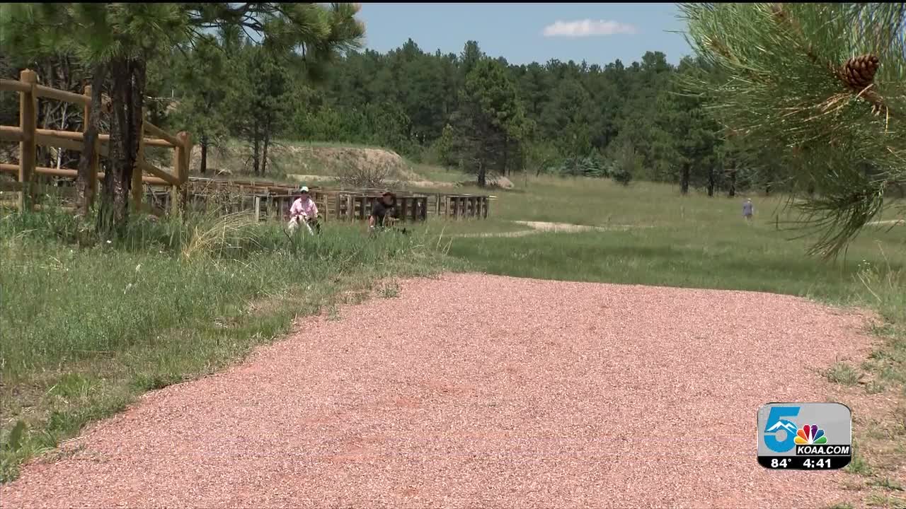 Pineries Open Space in Black Forest