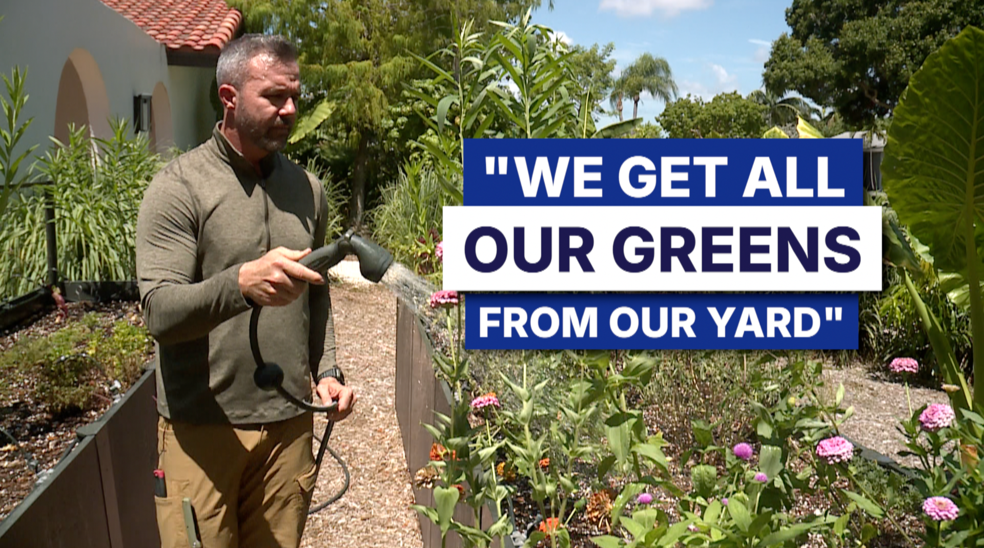 we get all our greens from our yard thumbnail.png